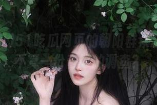 51吃瓜网页的朝阳群众档案：算不算一份奇妙的调查？