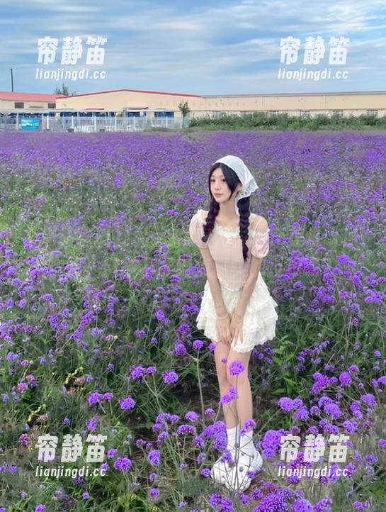 精品吃瓜官网：国产美食节目，吃一口能不能给点真实的反馈啊？