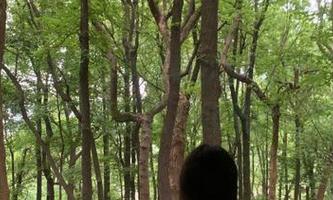 等不及黑哥扒料的网页更新，我决定自己开始扒点儿东西，结果…