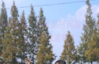 你说，观看黑网料的瓜，脑子里到底在想啥呢？